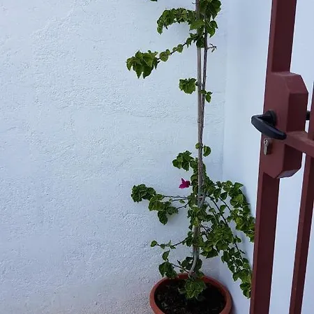 Casa De Pueblo *